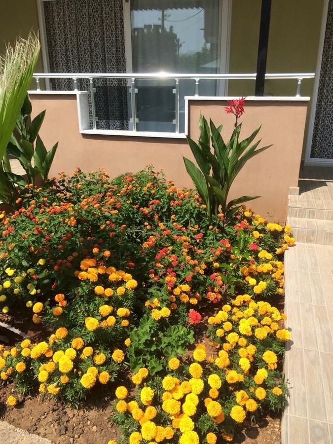 Kızılot Esmeralda Apart Butik Otel المظهر الخارجي الصورة