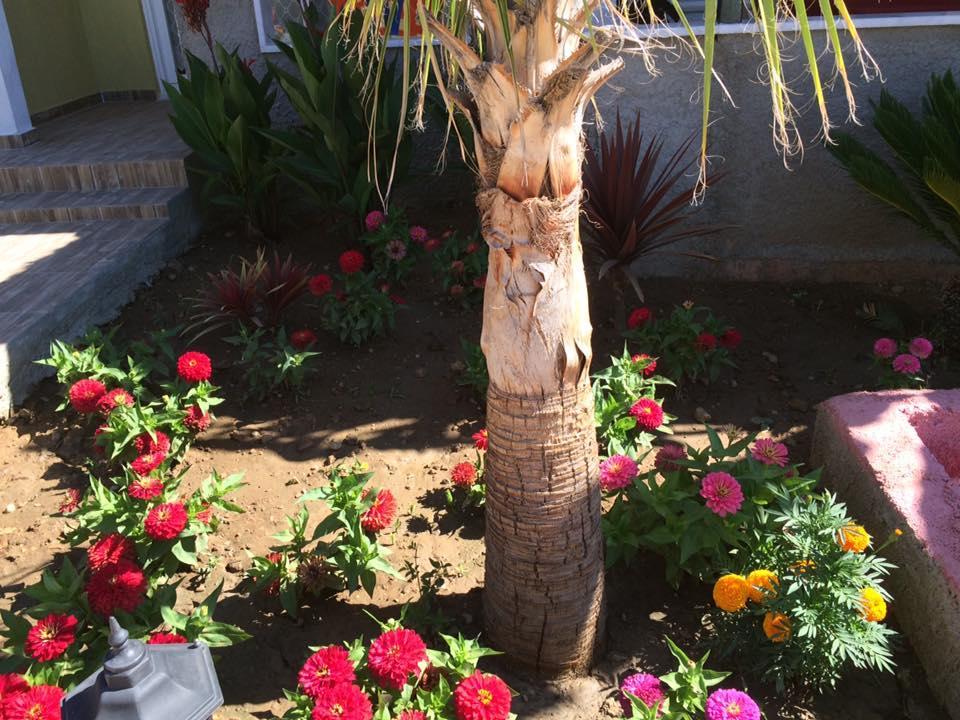 Kızılot Esmeralda Apart Butik Otel المظهر الخارجي الصورة