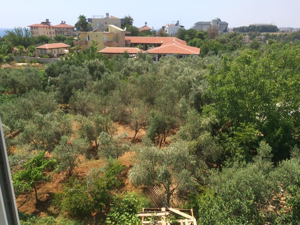 Kızılot Esmeralda Apart Butik Otel المظهر الخارجي الصورة